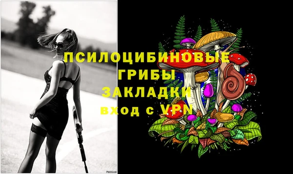 твердый Абаза