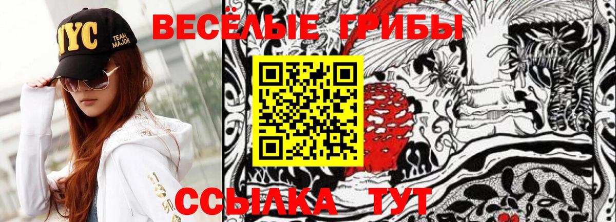 Галлюциногенные грибы Psilocybine cubensis Шумерля