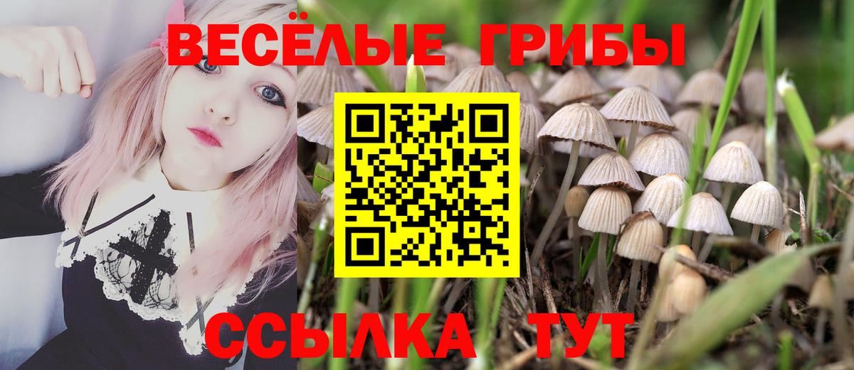 Галлюциногенные грибы Cubensis  Вход с VPN  Шумерля 